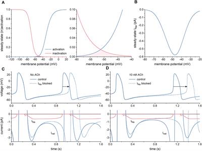 Cellular Mechanisms of Sinus Node Dysfunction in Carriers of the SCN5A-E161K Mutation and Role of the H558R Polymorphism